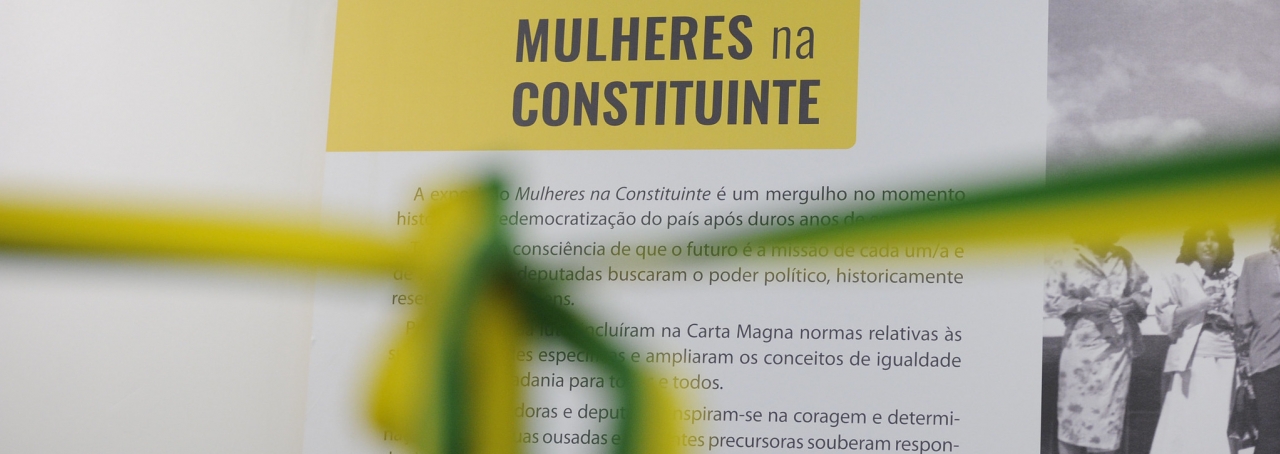 Imagem de quadro de informação sobre "Mulheres na Constituinte" com laço na frente